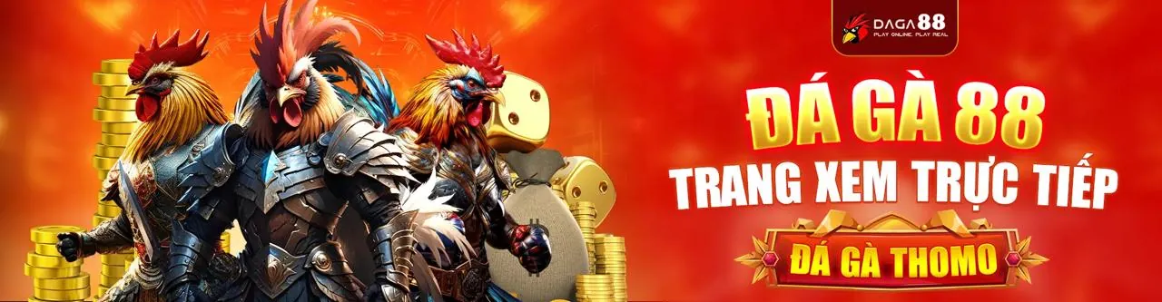 Sân đấu gà trực tuyến sôi động tại 88â nhà cái