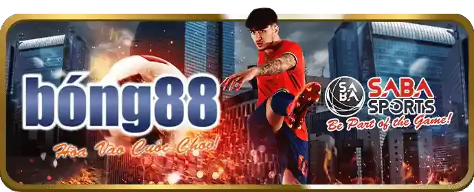 Gà chiến thắng và người chơi ăn mừng
